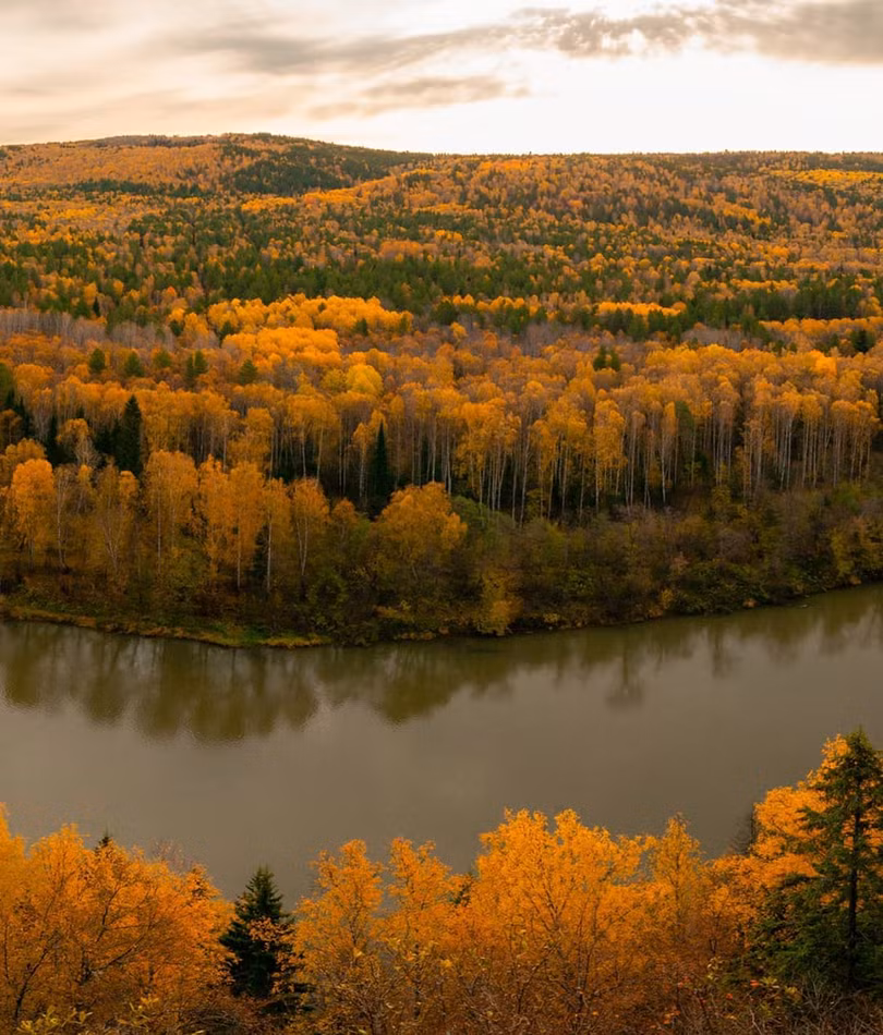Nước Nga đổ vàng, đẹp nao lòng khi đất trời sang thu