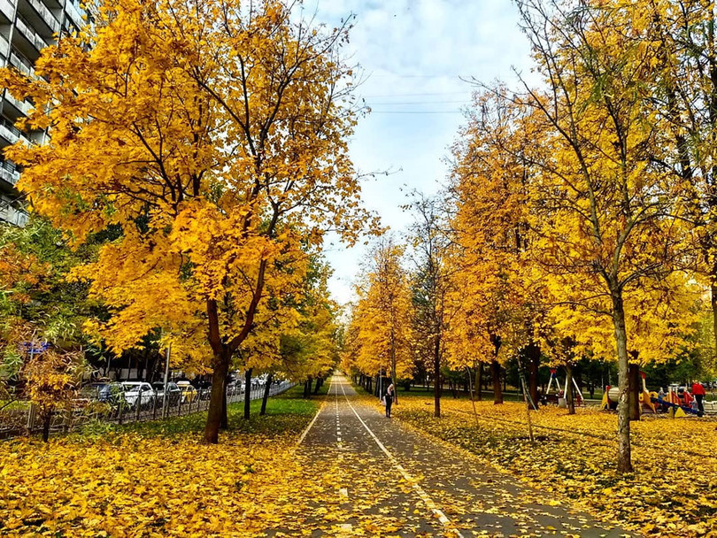 Nước Nga đổ vàng, đẹp nao lòng khi đất trời sang thu ảnh 26 Nước Nga đổ vàng, đẹp nao lòng khi đất trời sang thu