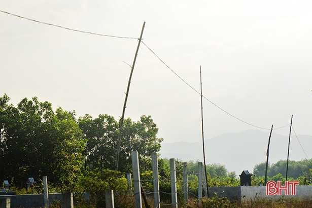 Cột điện tạm bợ bằng tre, gỗ - ẩn họa chết người ở xứ bưởi Hà Tĩnh