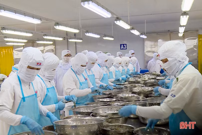 Hà Tĩnh trao đổi kinh nghiệm phát triển kinh tế, sắp xếp tổ chức bộ máy tại An Giang, Kiên Giang