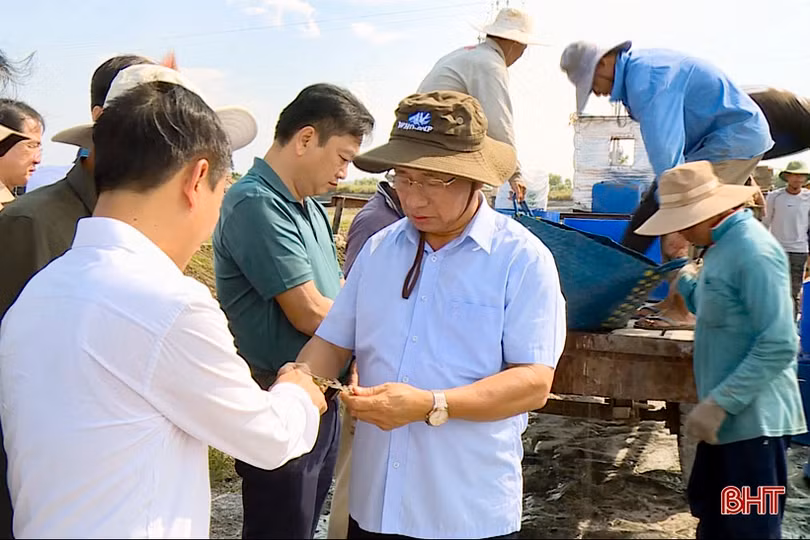 Hà Tĩnh trao đổi kinh nghiệm phát triển kinh tế, sắp xếp tổ chức bộ máy tại An Giang, Kiên Giang