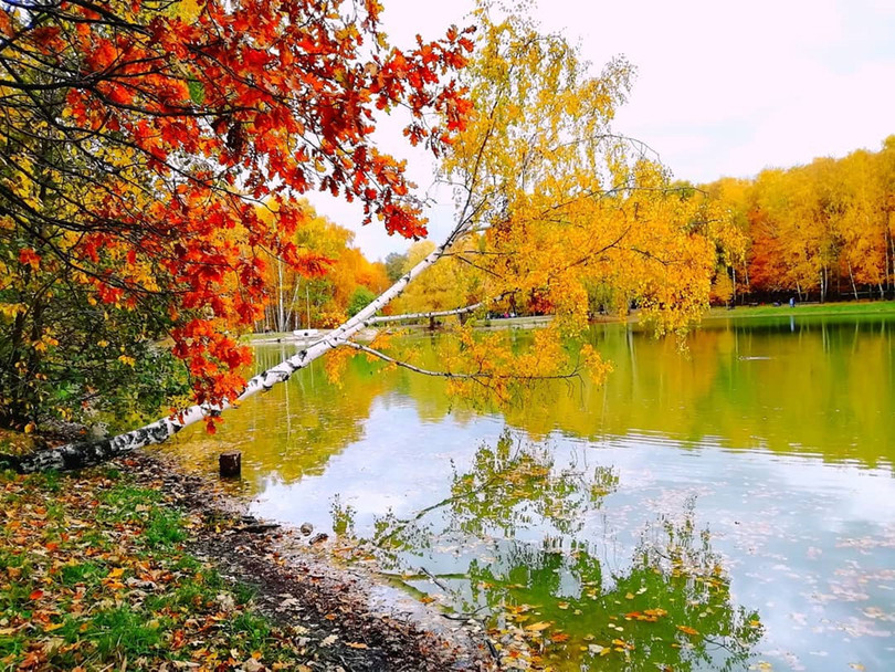 Nước Nga đổ vàng, đẹp nao lòng khi đất trời sang thu ảnh 22 Nước Nga đổ vàng, đẹp nao lòng khi đất trời sang thu