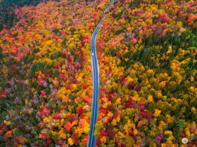 7 con đường mùa thu như chỉ có trong cổ tích