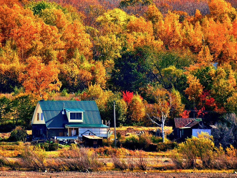 Nước Nga đổ vàng, đẹp nao lòng khi đất trời sang thu ảnh 8 Nước Nga đổ vàng, đẹp nao lòng khi đất trời sang thu
