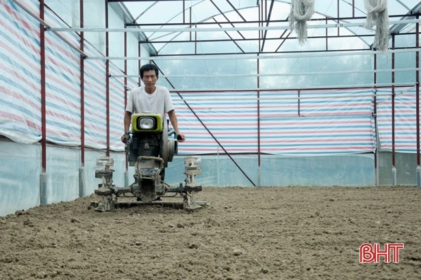 Làng hoa có tiếng Hà Tĩnh vào mùa phục vụ Tết