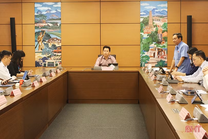 ĐBQH Hà Tĩnh: Cần đánh giá tác động xã hội, môi trường liên quan đến dự án Cảng hàng không Long Thành