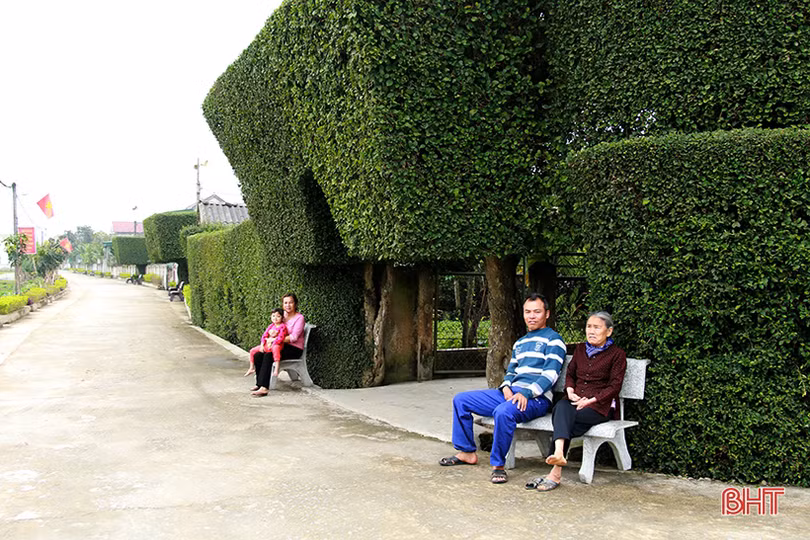 Tùng Ảnh và hành trình đến xã nông thôn mới nâng cao