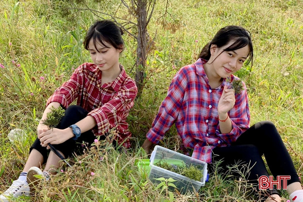 Hà Tĩnh đạt 4 giải tại cuộc thi sáng tạo thanh thiếu niên nhi đồng toàn quốc