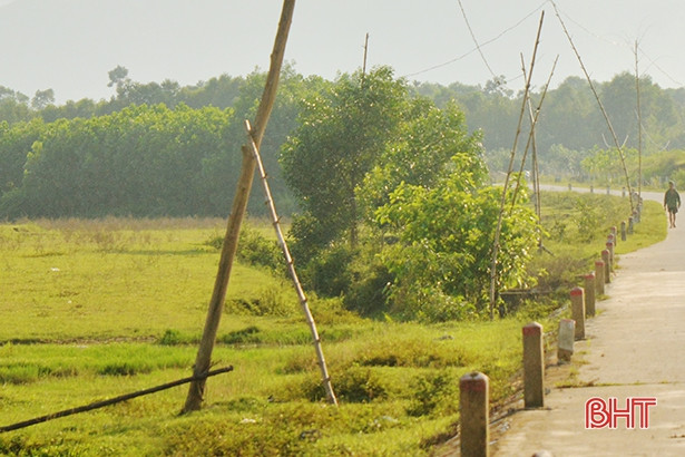 Cột điện tạm bợ bằng tre, gỗ - ẩn họa chết người ở xứ bưởi Hà Tĩnh