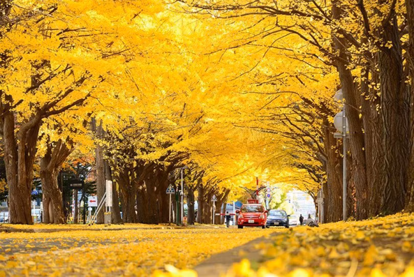7 con đường mùa thu như chỉ có trong cổ tích