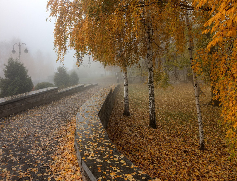 Nước Nga đổ vàng, đẹp nao lòng khi đất trời sang thu ảnh 6 Nước Nga đổ vàng, đẹp nao lòng khi đất trời sang thu