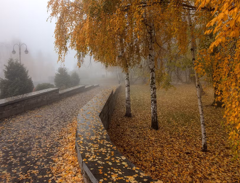 Nước Nga đổ vàng, đẹp nao lòng khi đất trời sang thu