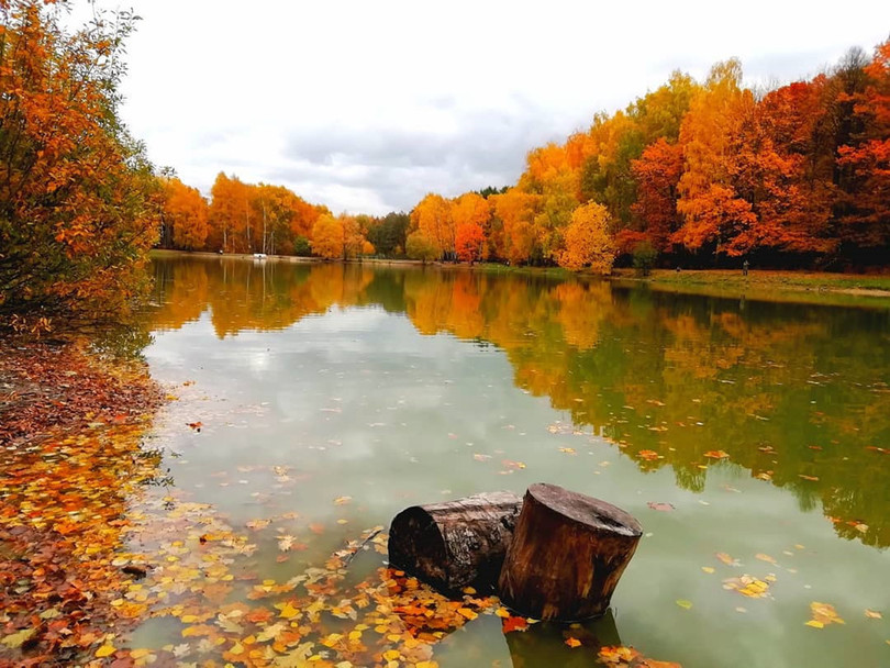 Nước Nga đổ vàng, đẹp nao lòng khi đất trời sang thu ảnh 24 Nước Nga đổ vàng, đẹp nao lòng khi đất trời sang thu