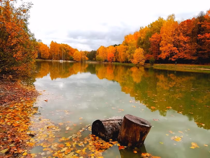 Nước Nga đổ vàng, đẹp nao lòng khi đất trời sang thu