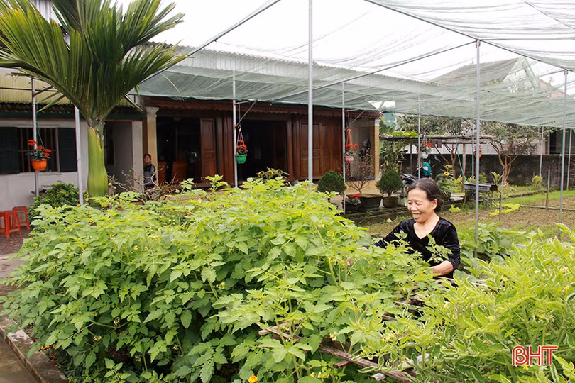 Tùng Ảnh và hành trình đến xã nông thôn mới nâng cao