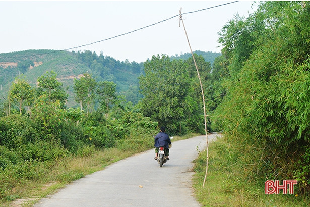 Cột điện tạm bợ bằng tre, gỗ - ẩn họa chết người ở xứ bưởi Hà Tĩnh