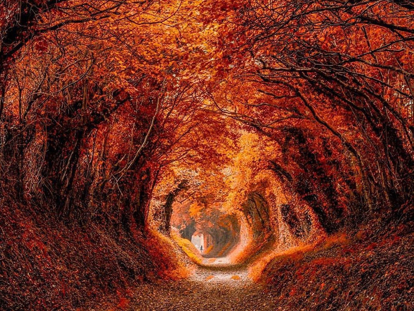 7 con đường mùa thu như chỉ có trong cổ tích