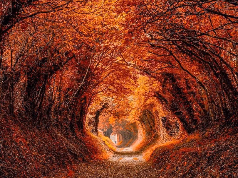 7 con đường mùa thu như chỉ có trong cổ tích