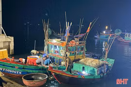 Hà Tĩnh phát huy hiệu quả từ khai thác hải sản bền vững