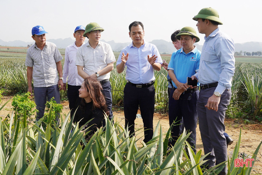 Đại diện Công ty CP Thực phẩm xuất khẩu Đồng Giao giới thiệu quy trình trồng dứa cayen cho đoàn công tác. z5278737362350_e43a7da7d8f1c19707d930b2eb8e1e9a.jpg
