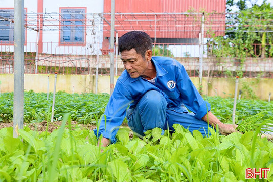 Vùng “rốn lũ” vươn lên với nhiều cách làm kinh tế hiệu quả