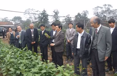 Các đại biểu tham quan vườn ươm cây dổi xanh tại BQL RPH Cẩm Xuyên