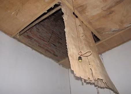 ...còn trần nhà thì mục nát