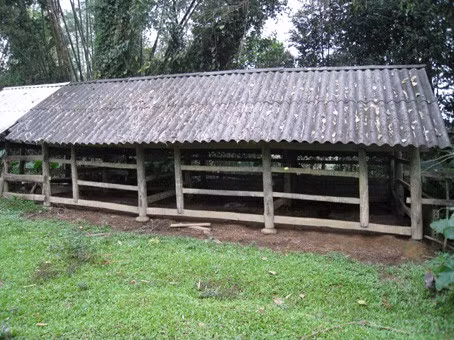 Người dân Hương Điền bán hết trâu, bò để “chạy” giấy tờ bỏ lại nhiều chuồng trâu, bò trống hoác