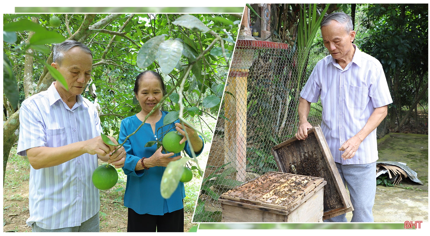 Học Bác, nữ đảng viên tiên phong xây vùng kinh tế mới