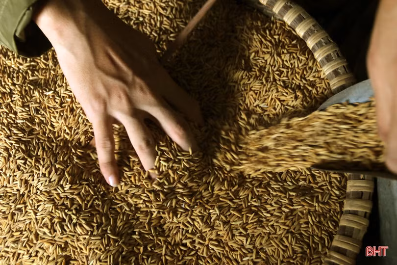 TX Kỳ Anh sơ tán khẩn cấp 583 hộ dân, đảm bảo an toàn trước hoàn lưu bão số 9