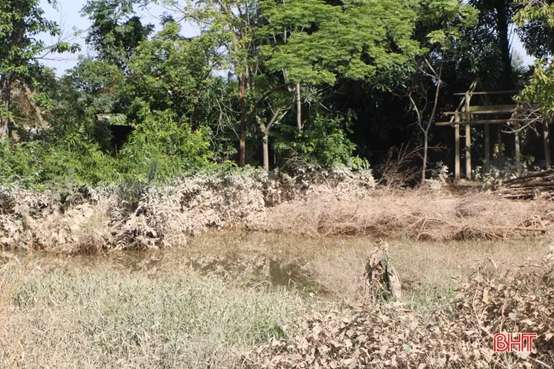 Người dân Hà Tĩnh chung sức, đồng lòng vượt qua lũ dữ