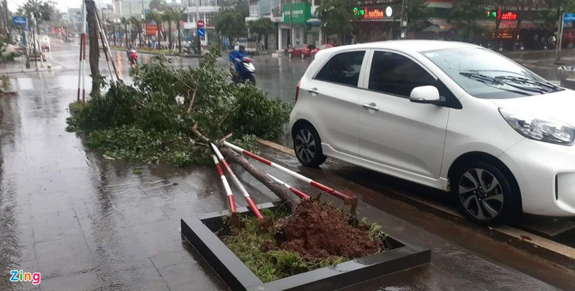 Bão số 9 tàn phá các tỉnh miền Trung