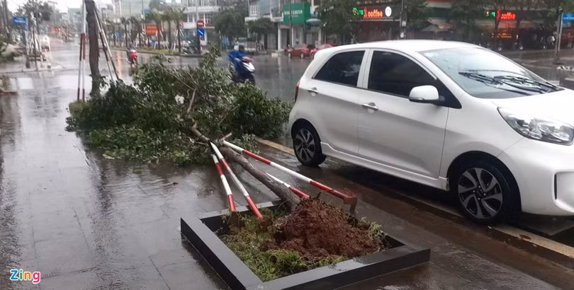 Bão số 9 tàn phá các tỉnh miền Trung