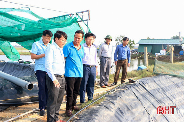 Chủ động bảo vệ hàng hóa ở chợ, ao nuôi thủy sản trước dự báo mưa lớn