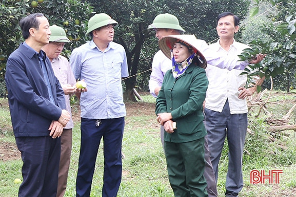 Tập trung khôi phục sản xuất, ứng phó với diễn biến phức tạp của thời tiết