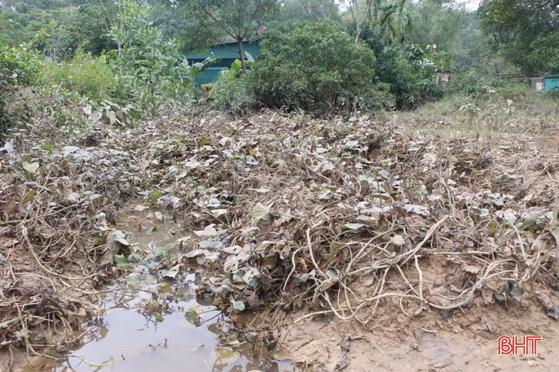 Người dân Hà Tĩnh chung sức, đồng lòng vượt qua lũ dữ