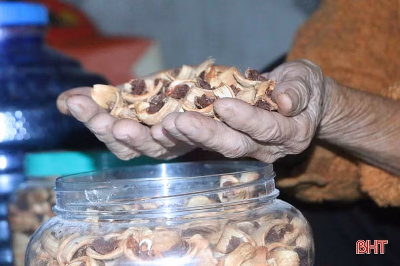 “Nhật ký chạy lũ” của vợ chồng ông lão ngoài 80 tuổi ở Hà Tĩnh