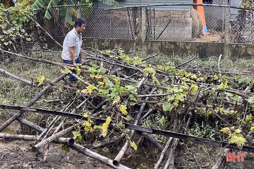 Vựa rau lớn nhất Hà Tĩnh tan hoang sau mưa lũ
