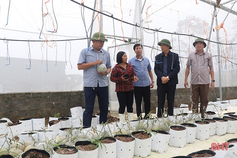 Tập trung khôi phục sản xuất, ứng phó với diễn biến phức tạp của thời tiết