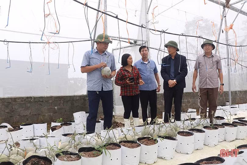 Tập trung khôi phục sản xuất, ứng phó với diễn biến phức tạp của thời tiết