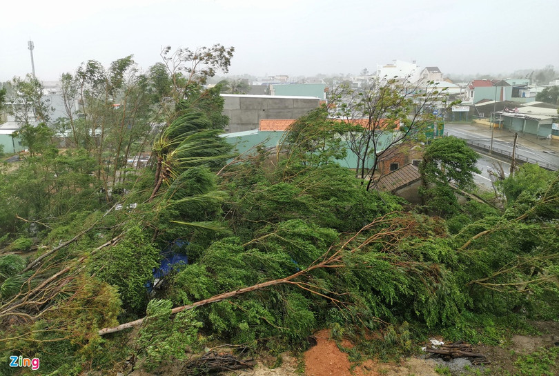 Bão số 9 tàn phá các tỉnh miền Trung