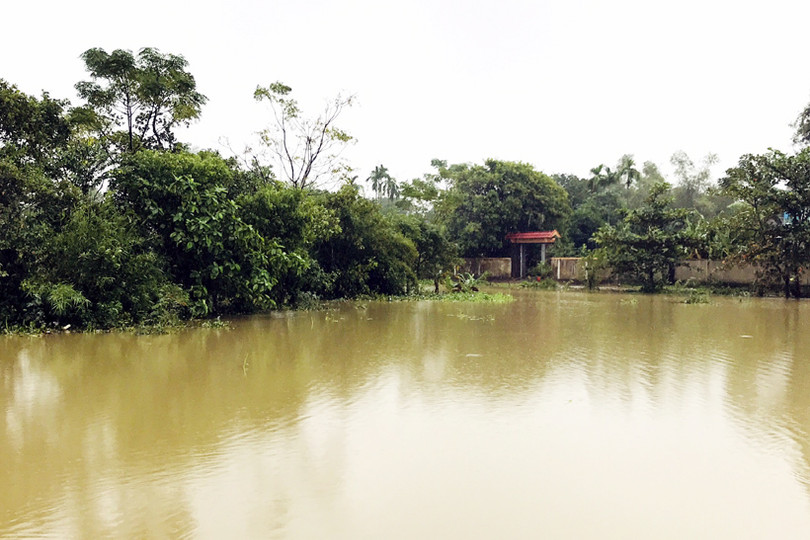 Kịp thời động viên Nhân dân khắc phục khó khăn, ổn định cuộc sống