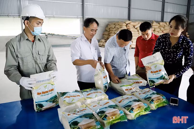 Nâng “sao” sản phẩm OCOP Hà Tĩnh - cho những thương hiệu vươn xa