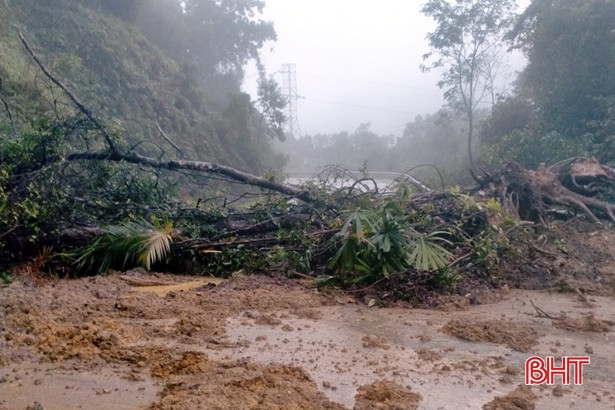 Kịp thời giải phóng cây đổ, QL 8A thông tuyến trở lại
