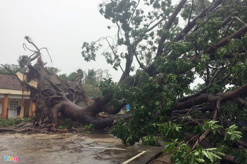 Bão số 9 tàn phá các tỉnh miền Trung