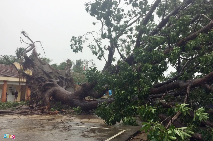 Bão số 9 tàn phá các tỉnh miền Trung