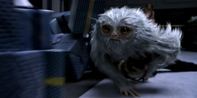 nhung dieu can biet ve bom tan fantastic beasts 2