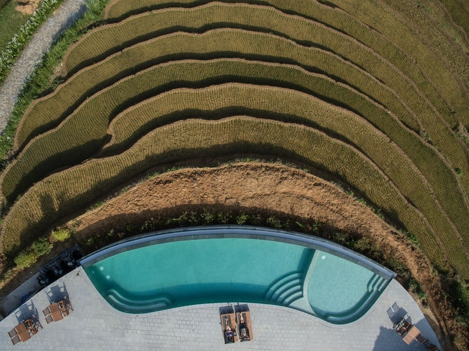 be boi vo cuc cao nhat viet nam