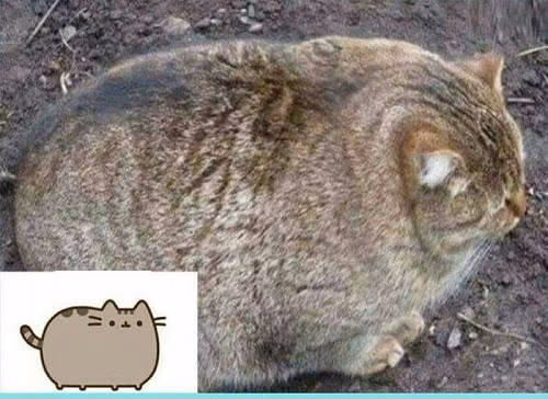 10 anh hai hot nhat facebook ngay