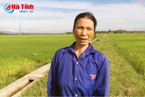 cu tri tin tuong ky vong vao ky hop thu 4 hdnd tinh lan thu xvii